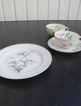 Alt Schönwald Porzellan Gedeck Tassen Blumen Vintage zus. 9,- - Flensburg