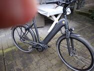 Kalkhoff XXL E-Bike sehr gut gepflegt - Brüggen (Burggemeinde)