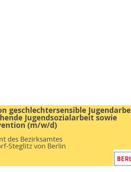 Koordination geschlechtersensible Jugendarbeit und Aufsuchende Jugendsozialarbeit sowie Gewaltprävention (m/w/d) - Berlin