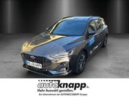 Ford Focus, ST-Line X MHEV Winter Paket He Up Display Sportpaket digitales, Jahr 2024 - Weinheim