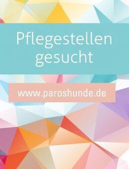 Pflegestellen gesucht - Bergkirchen