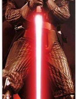 Reinders! Poster Star Wars - classic darth vader