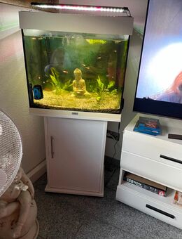 120 Liter Aquarium komplett mit Fische Abzugeben - Frechen Zentrum