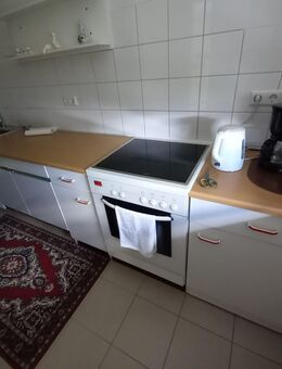 Küchenzeile mit Spülbecken und Elektroherd - Tübingen