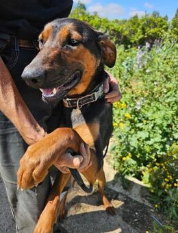 Sanfte, liebevolle Bente - Berlin