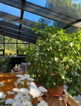 Haus mit großem Wintergarten, 3 Garagen, Platz für Kinder und Ihre Hobbys - Kottmar