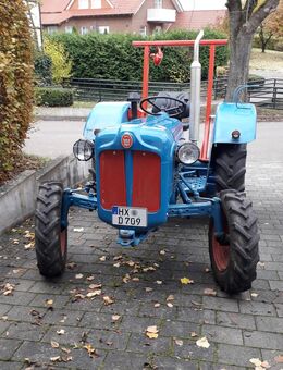 Fordson Dexta - Warburg (Hansestadt)