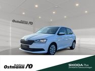 Skoda Fabia, Cool Plus 44kw, Jahr 2021 - Niestetal