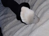 Duftende Socken/Slip gegen TG - Holzminden