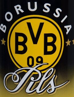 BVB 09 Borussia Dortmund Deutscher Meister Getränkedose Bierdose - Werne
