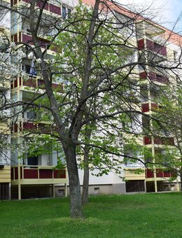 Balkonwohnung im 5. Geschoss - Wohnen und Entspannen - Borna