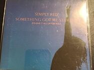 Simply Red - Something Got Me Started (Maxi-CD 1991) - Essen