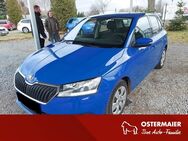 Skoda Fabia, 1.0 TSI Active el BremsA, Jahr 2019 - Landshut