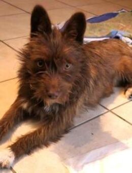 Kelly die Frohnatur - Kissing