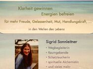 Free yourself - Mental Coaching - Themen- und Sytemaufstellungen - Psychologische Beratung - Regensburg