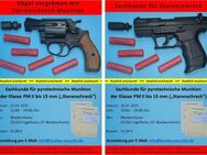 Sachkunde Starenschreck, Lehrgang, PM II, Pyrotechnische Munition - Wackernheim