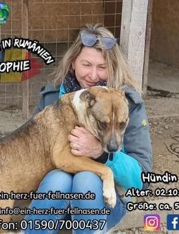 SOPHIE - neugierige Schmusebacke - Waakirchen