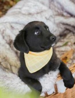 275179 - Unsinn im Kopf? ich doch nicht - Overath