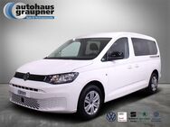 VW Caddy, 2.0 TDI Maxi, Jahr 2024 - Brandis