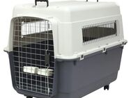 Hundeflugbox XXXL Transportbox Hundebox Flugbox #L19 - Birkenfeld (Baden-Württemberg)