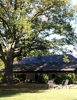 Einmaliges Haus in absoluter Traumlage - Wesenberg (Mecklenburg-Vorpommern)