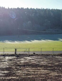 Licht, Luft & Lebensqualität – Doppelhaushälfte zum Wohlfühlen - Langenzenn