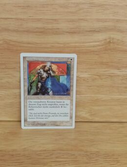 Magic The Gathering-Gehirnwäsche - Nörvenich