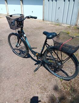 28 Zoll Damenfahrrad - Dessau-Roßlau