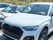 Audi Q5 Umständehalber abzugeben - Winsen (Luhe)