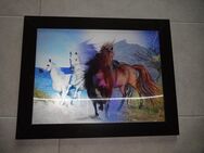 3-D Wandbild in dekorativem Rahmen zu verkaufen *Pferd* - Walsrode