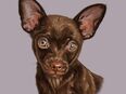 Besonderheit: Hundeportraits / Tierportraits ab Foto im Miniformat in 67283
