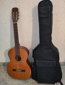Akkustische Gitarre + Taschen - Schriesheim