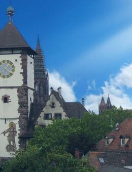 Luxuriös, architektonisch stilvoll und modern sanierter2 Zi. Designwohntraum in der Innenstadt - Freiburg (Breisgau)