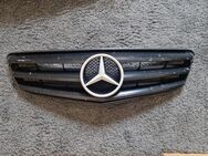 Mercedes Benz C220 LIM W204 Grill - Paderborn