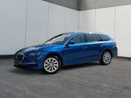 Skoda Octavia, Combi Selection LOUNG, Jahr 2024 - Buchholz (Nordheide)