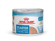 Royal Canin Starter Mother & Babydog Ultra Soft Mousse - Sparpaket: 24 x 195 g