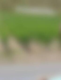 Sve*** - Naumburg (Saale)