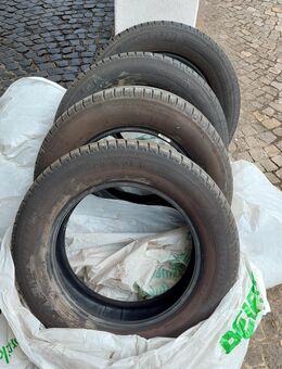 Michelin Sommer Reifen - Rheda-Wiedenbrück