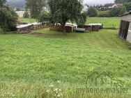 Baugrundstück mit Rohbau Altbestand und vielen Möglichkeiten in Weigendorf - Weigendorf