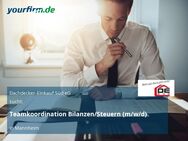 Teamkoordination Bilanzen/Steuern (m/w/d) - Mannheim