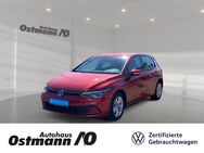 VW Golf, 1.5 TSI VIII Life, Jahr 2022 - Bad Arolsen