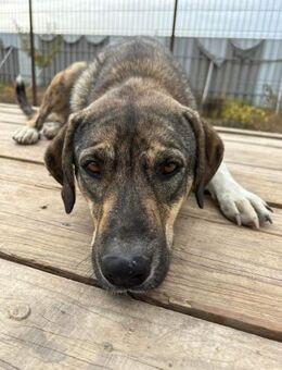 Coreen sucht ihre Pflegefamilie - Celle