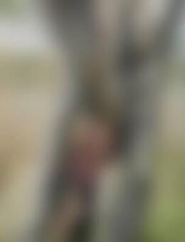 Sal*** - Krumbach (Schwaben)