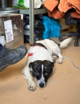 Stacy❤ sucht Kuschelflat bei Familie - Seggebruch