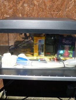 Aquarium mit viel Zubehör,Sonderaktion 07.06.2025,70 €.Nr. 68 - Lichtenau (Nordrhein-Westfalen)