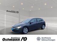 VW Golf, 1.0 TSI VIII Life 3xKlima, Jahr 2020 - Bad Arolsen