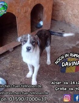 DAVINA-hat ihren Lebenswunsch vor Augen - Waakirchen