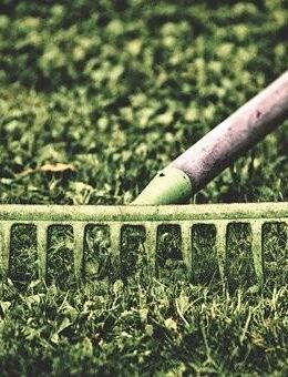 Mehrere Landschaftsgärtner ( m/w/d )ab sofort bei attraktiver Bezahlung gesucht. - Osterhofen