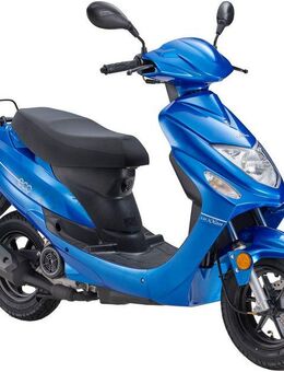 Luxxon Motorroller ECO (45km/h), 50 ccm, City-Roller, EFI, 50 ccm, 45 km/h, Euro 5, Kraftstoffeinspritzung (EFI), Lenkerschloss, Staufach, Roller, Scooter