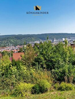 Einfamilienhaus mit großer Einliegerwohnung, Panoramablick, sonnigem Grundstück & Garage - Deizisau